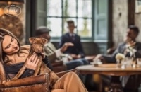 Dogmeat  Compleet Kip  20 x 500 gram